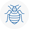 Bed Bug Extermination In Lutterworth